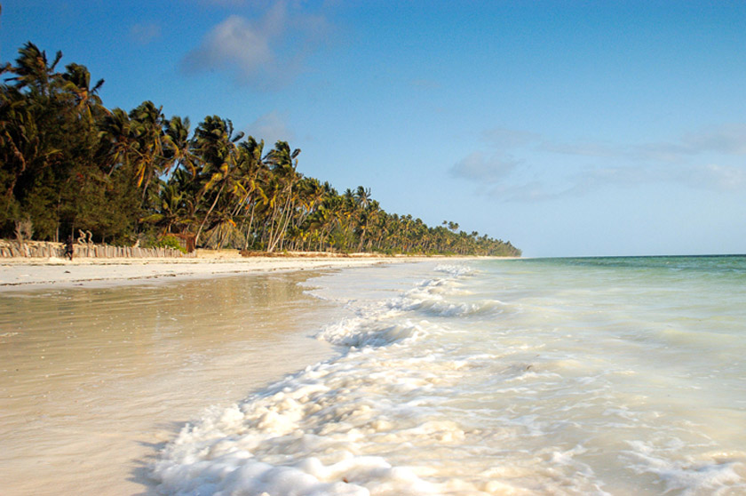 Beach of the East Coast of Zanzibar